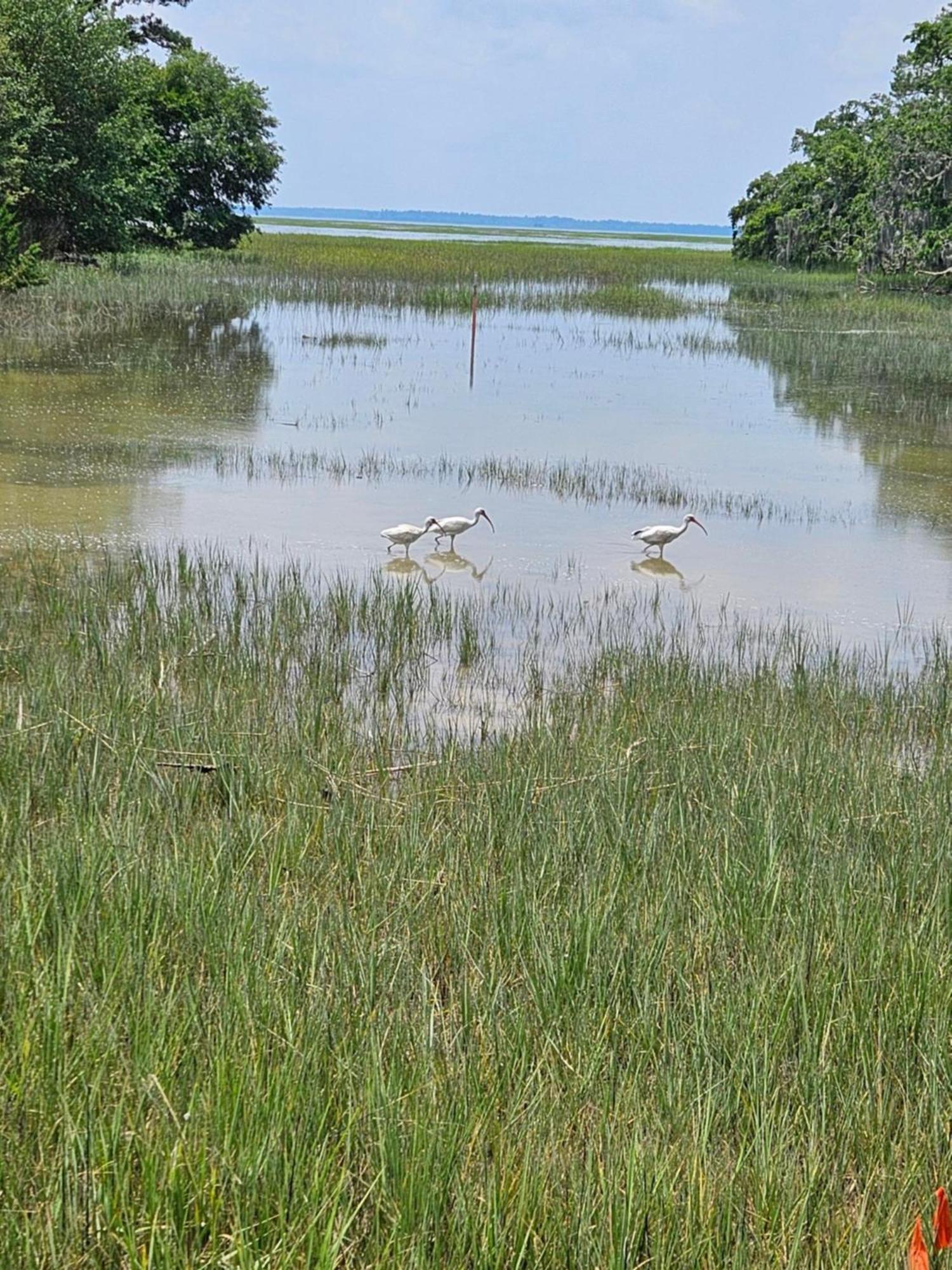 Low Country Cottage In Beautiful Habersham Beaufort Zewnętrze zdjęcie