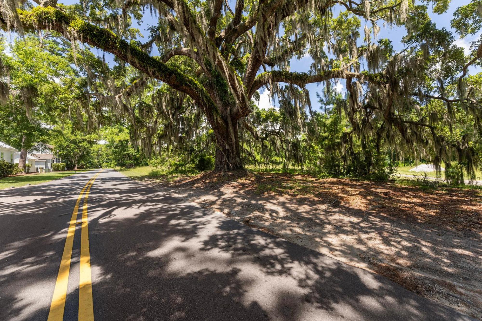 Low Country Cottage In Beautiful Habersham Beaufort Zewnętrze zdjęcie